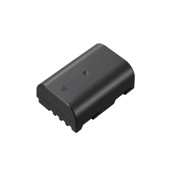 Panasonic Batteria DMW-BLF19 Panasonic Batteria DMW-BLF19